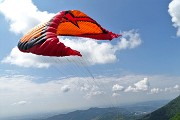 Spettacolo di narcisi e di amici sul Linzone (1392 m) il 12 maggio 2018 - FOTOGALLERY